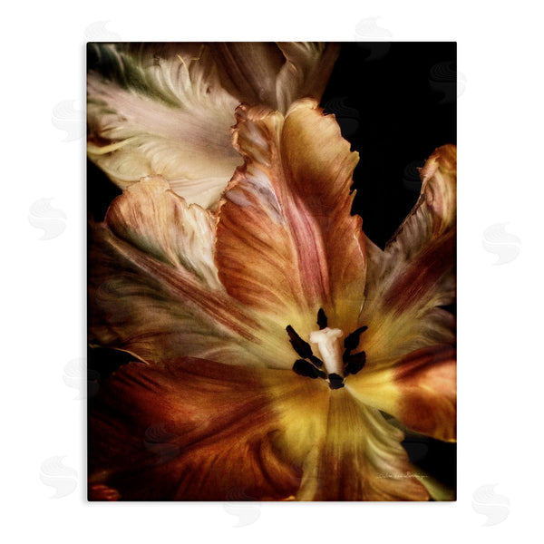 stupell industries Debra Van Swearingen | Tulip Petals Detail Wall Art