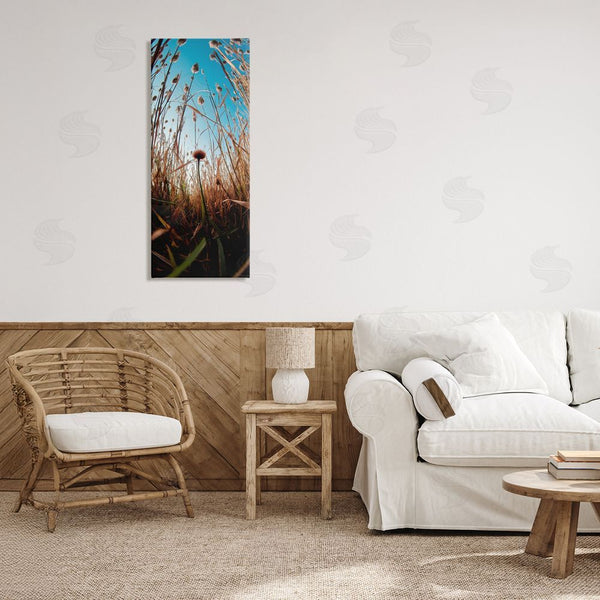 Stupell Industries Decent Exposures | Daydream Botanical Meadow Wall Art