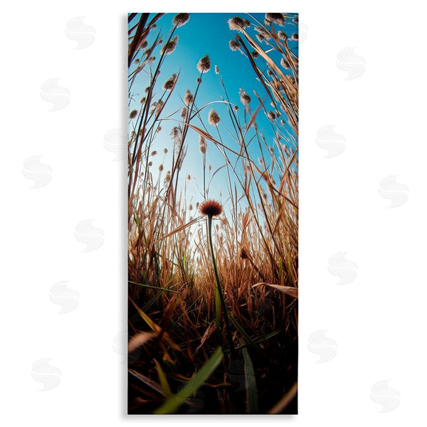 stupell industries Decent Exposures | Daydream Botanical Meadow Wall Art