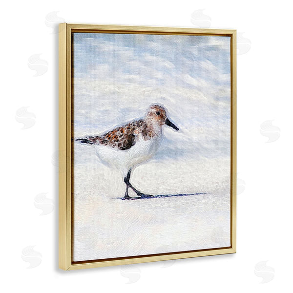 Stupell Industries Denise Brown | Blue Coast Sandpiper Painting