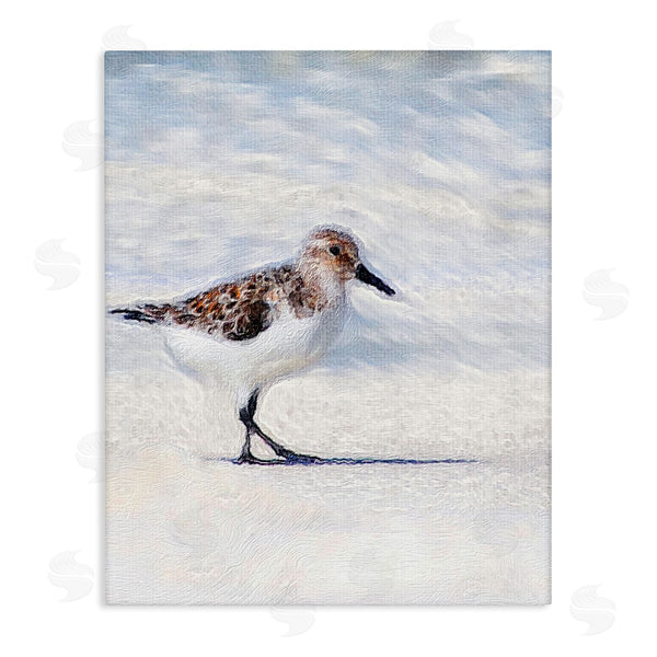 stupell industries Denise Brown | Blue Coast Sandpiper Painting