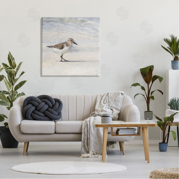 Stupell Industries Denise Brown | Sandpiper Bird Stepping Beach Sand Wall Art
