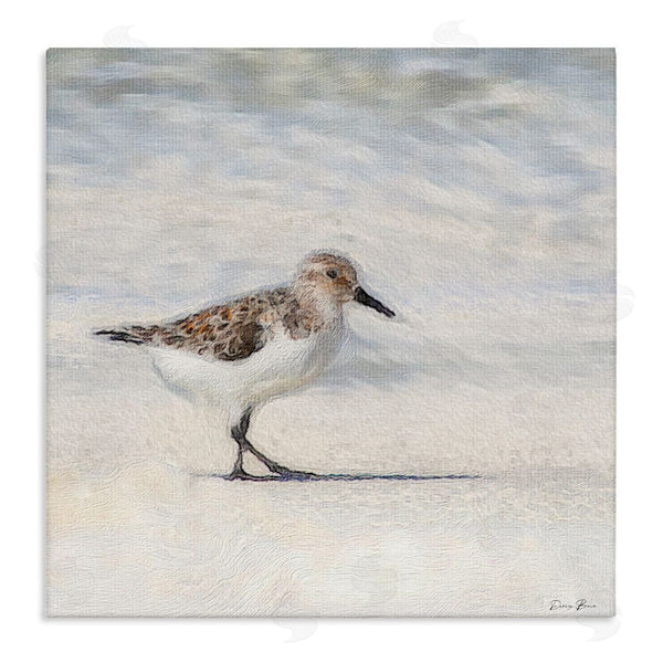 stupell industries Denise Brown | Sandpiper Bird Stepping Beach Sand Wall Art