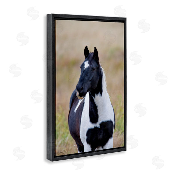 Stupell Industries Dennis Frates | Black And White Foal
