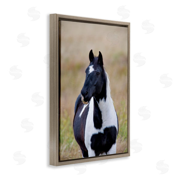 Stupell Industries Dennis Frates | Black And White Foal