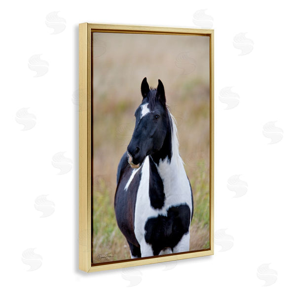 Stupell Industries Dennis Frates | Black And White Foal