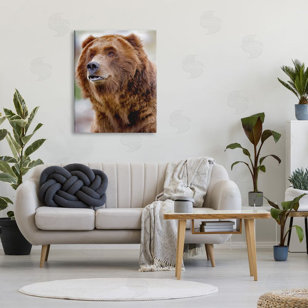 Stupell Industries Dennis Frates | Brown Bear Portrait Wall Art