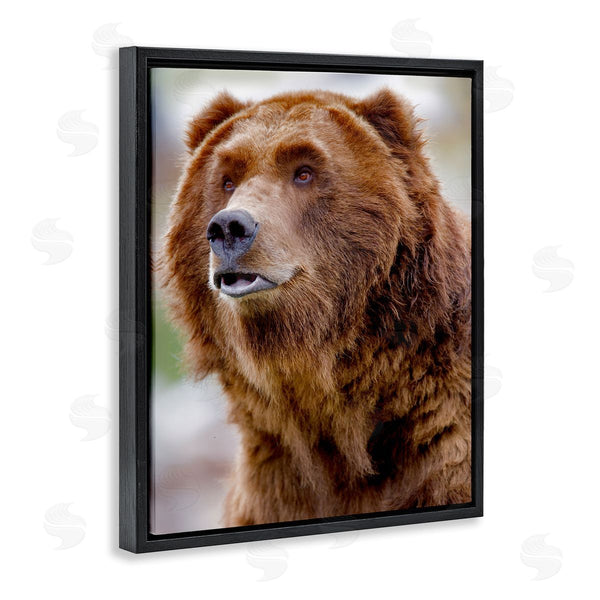 Stupell Industries Dennis Frates | Brown Bear Portrait Wall Art