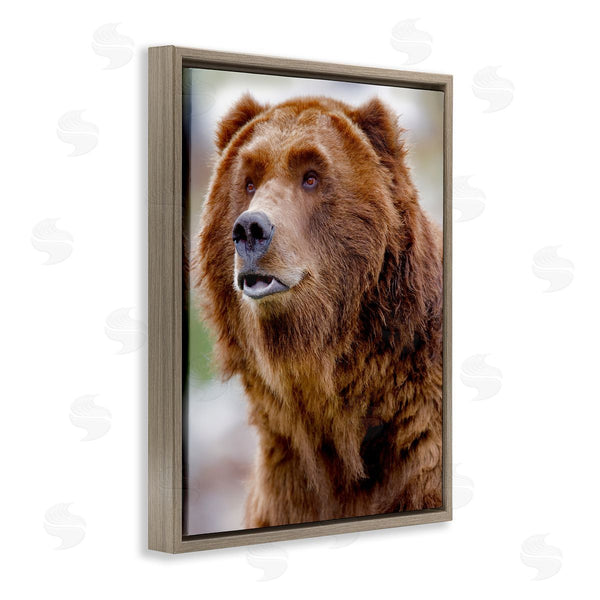 Stupell Industries Dennis Frates | Brown Bear Portrait Wall Art