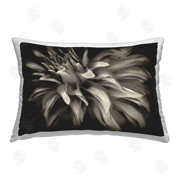 Stupell Industries Dennis Frates | Dark Curling Chrysanthemum