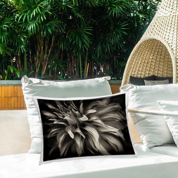 Stupell Industries Dennis Frates | Dark Curling Chrysanthemum