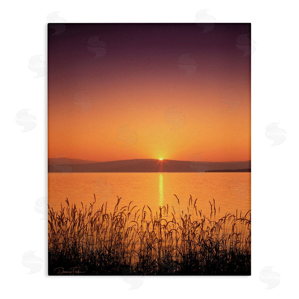 stupell industries Dennis Frates | Deep Orange Sunset