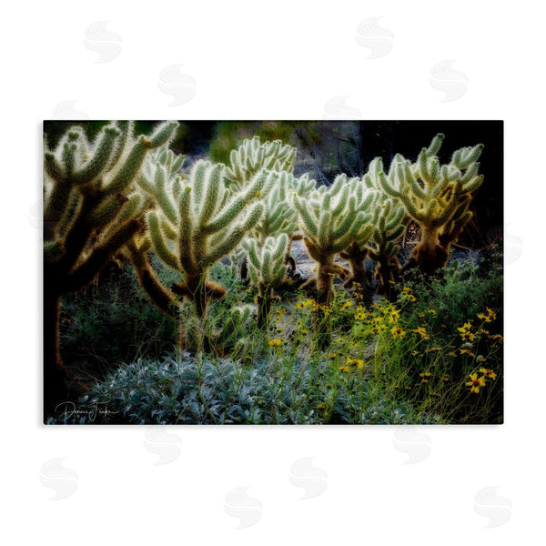 stupell industries Dennis Frates | Desert Cactus Forest