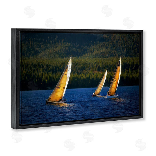 Stupell Industries Dennis Frates | Floating Sailboat Trio