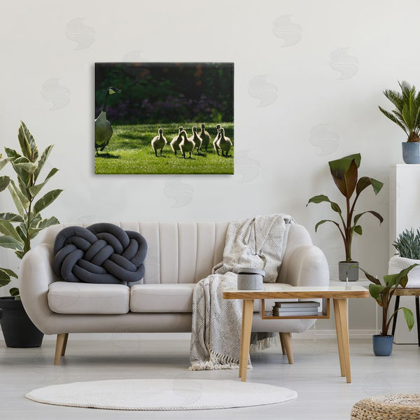 Stupell Industries Dennis Frates | Goose Family Photography Wall Art