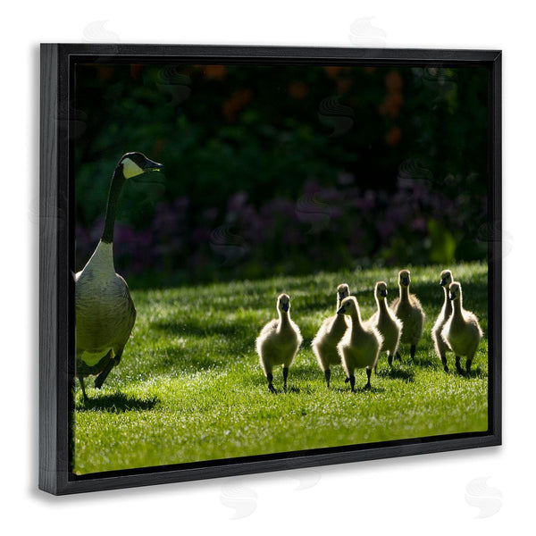 Stupell Industries Dennis Frates | Goose Family Photography Wall Art