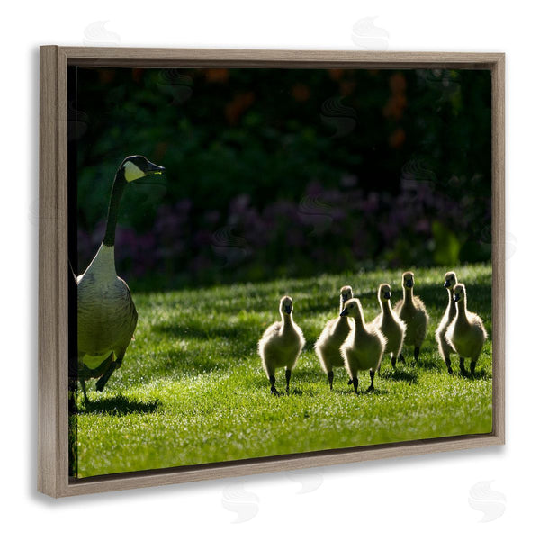 Stupell Industries Dennis Frates | Goose Family Photography Wall Art