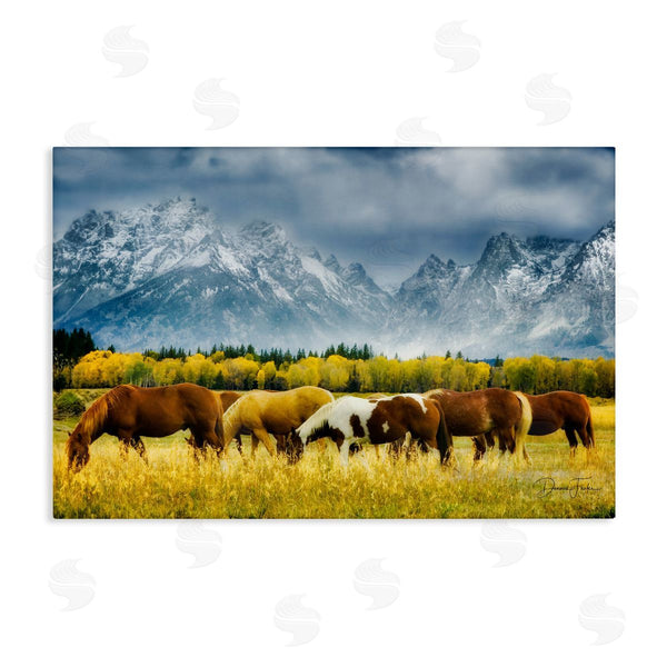 stupell industries Dennis Frates | Horses in Wilderness