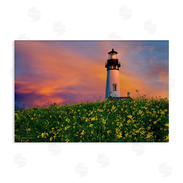 stupell industries Dennis Frates | Lighthouse and Floral Meadow