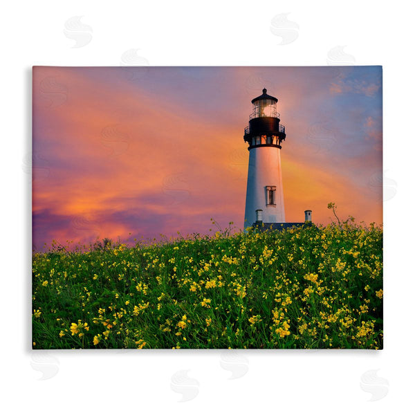 stupell industries Dennis Frates | Lighthouse in Meadow Sunrise Wall Art