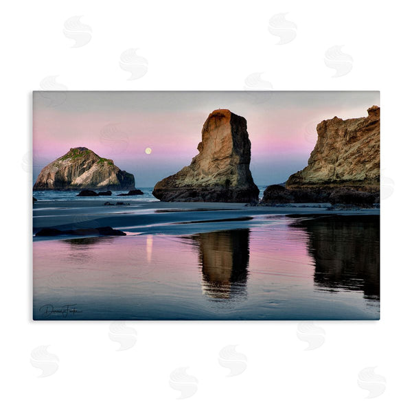 stupell industries Dennis Frates | Moonlit Beach Cliffs