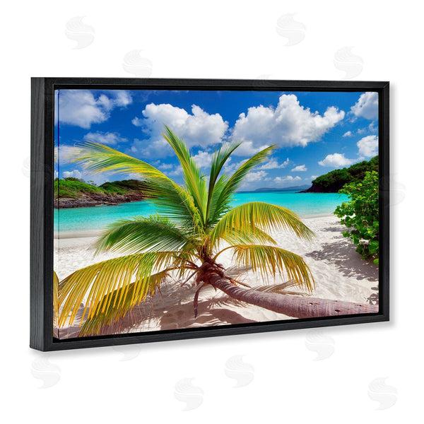 Stupell Industries Dennis Frates | Palm Tree Across Beach