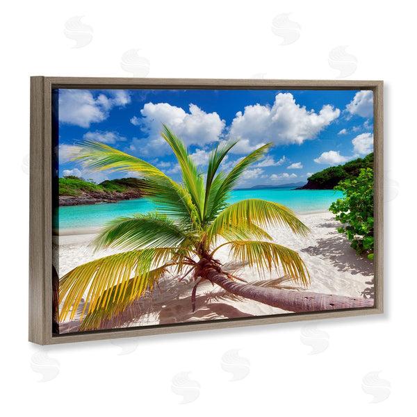Stupell Industries Dennis Frates | Palm Tree Across Beach