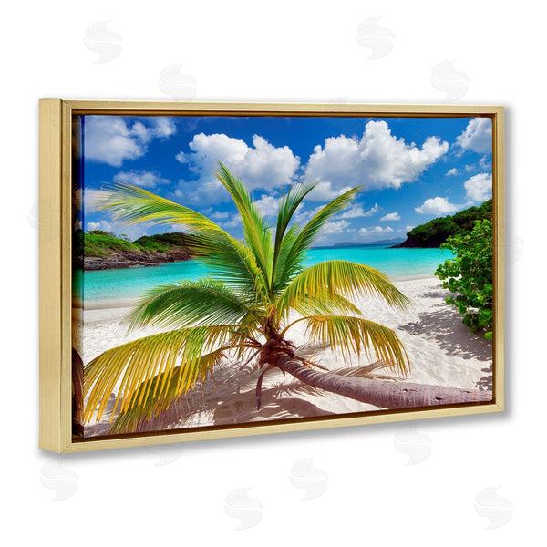 Stupell Industries Dennis Frates | Palm Tree Across Beach