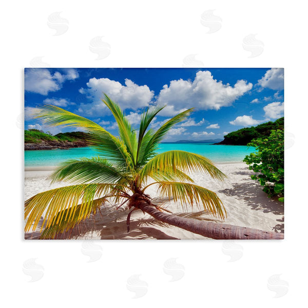 stupell industries Dennis Frates | Palm Tree Across Beach