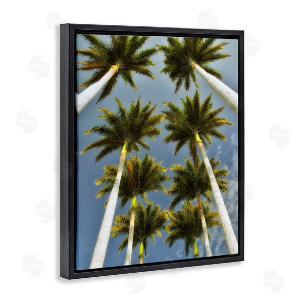 Stupell Industries Dennis Frates | Palm Trees Overhead Wall Art