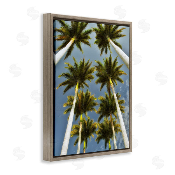 Stupell Industries Dennis Frates | Palm Trees Overhead Wall Art