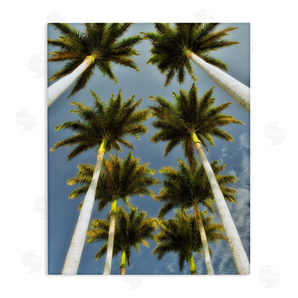 stupell industries Dennis Frates | Palm Trees Overhead Wall Art
