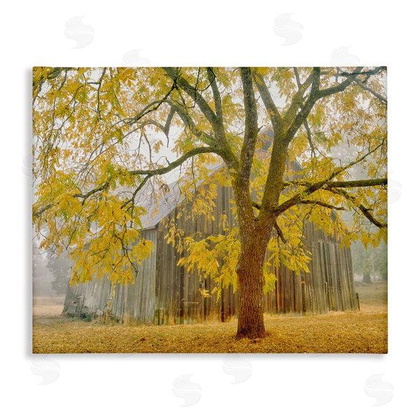 stupell industries Dennis Frates | Rustic Cabin Autumn Foliage Wall Art