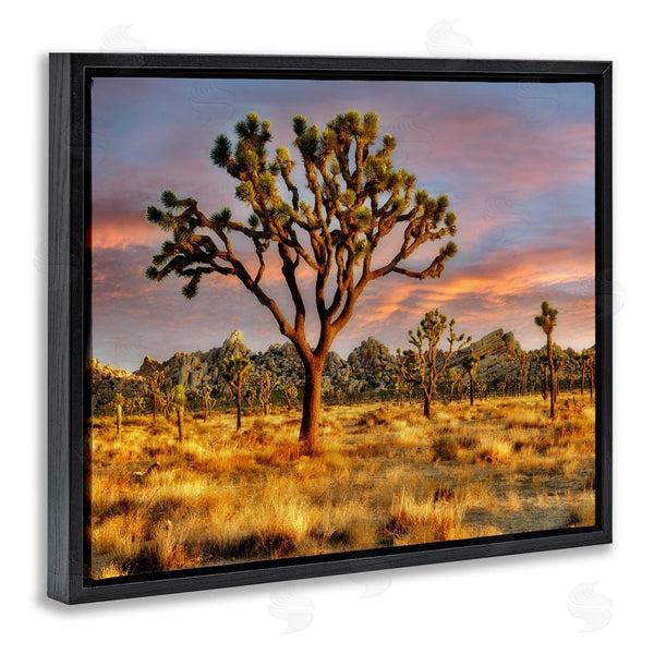 Stupell Industries Dennis Frates | Savanna Trees Photography Wall Art