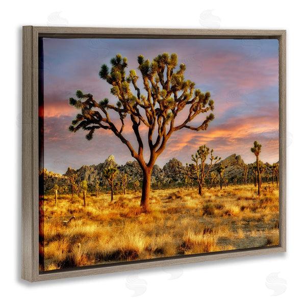 Stupell Industries Dennis Frates | Savanna Trees Photography Wall Art