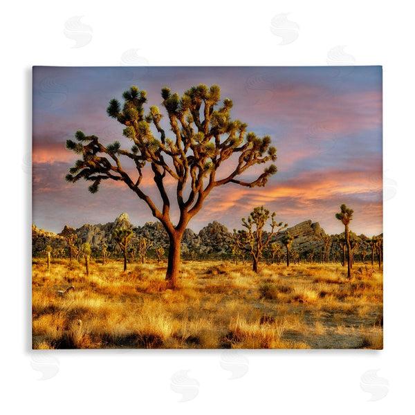stupell industries Dennis Frates | Savanna Trees Photography Wall Art