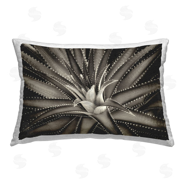 Stupell Industries Dennis Frates | Spikey Plant Leaves