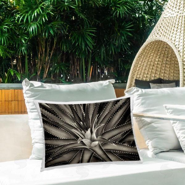Stupell Industries Dennis Frates | Spikey Plant Leaves