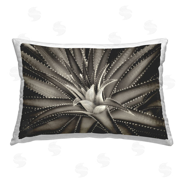 stupell industries Dennis Frates | Spikey Plant Leaves