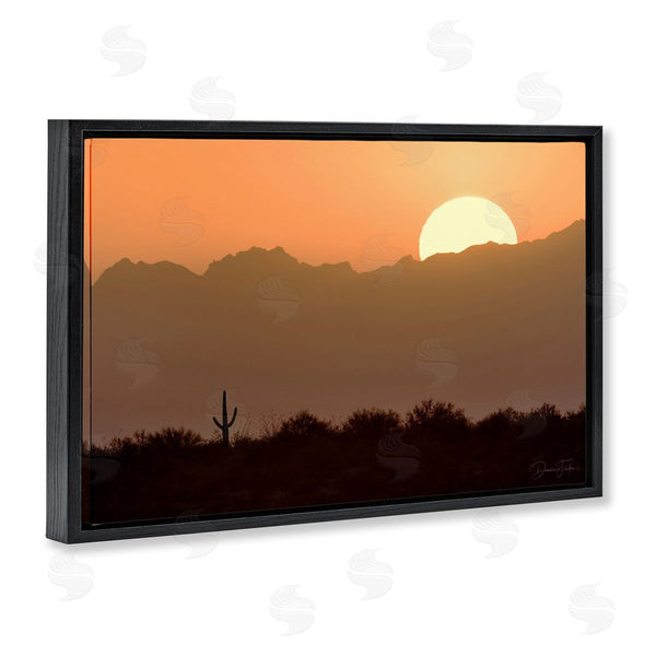 Stupell Industries Dennis Frates | Sunlit Desert Cactus Wall Art