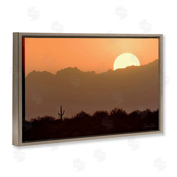 Stupell Industries Dennis Frates | Sunlit Desert Cactus Wall Art