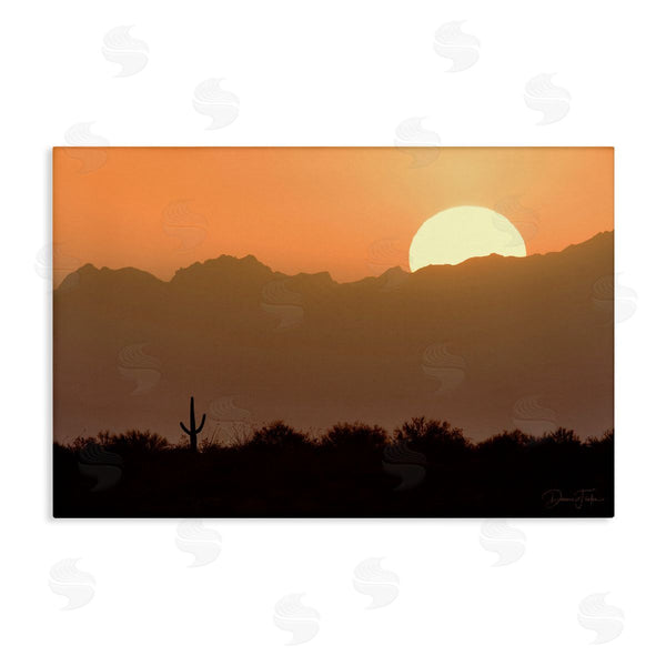 stupell industries Dennis Frates | Sunlit Desert Cactus Wall Art