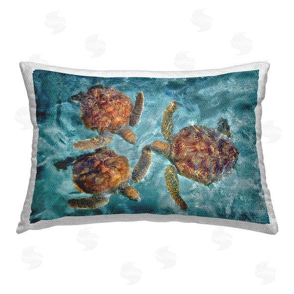 Stupell Industries Dennis Frates | Swimming Tortoise Trio