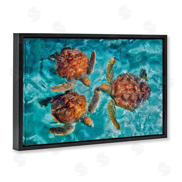 Stupell Industries Dennis Frates | Swimming Tortoise Trio