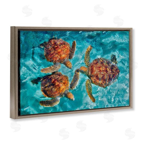 Stupell Industries Dennis Frates | Swimming Tortoise Trio
