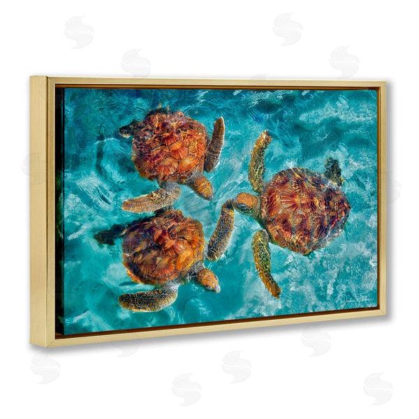 Stupell Industries Dennis Frates | Swimming Tortoise Trio