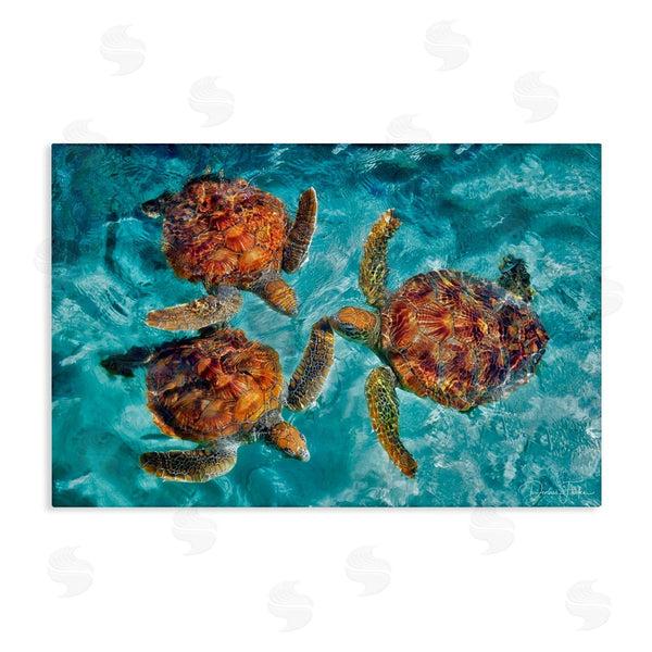 stupell industries Dennis Frates | Swimming Tortoise Trio