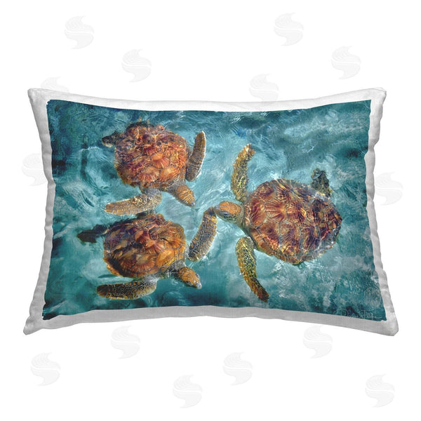 stupell industries Dennis Frates | Swimming Tortoise Trio