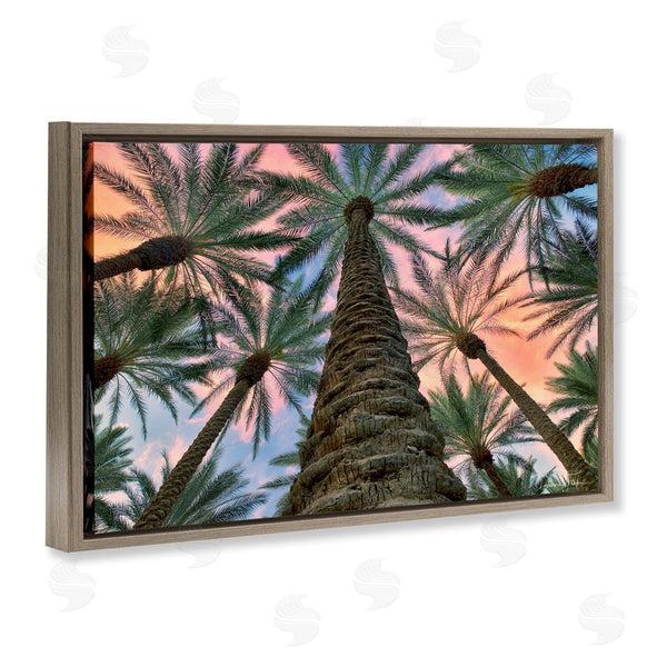 Stupell Industries Dennis Frates | Tall Overhead Palms Wall Art