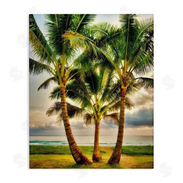 stupell industries Dennis Frates | Three Palm Trees on Beach Wall Art